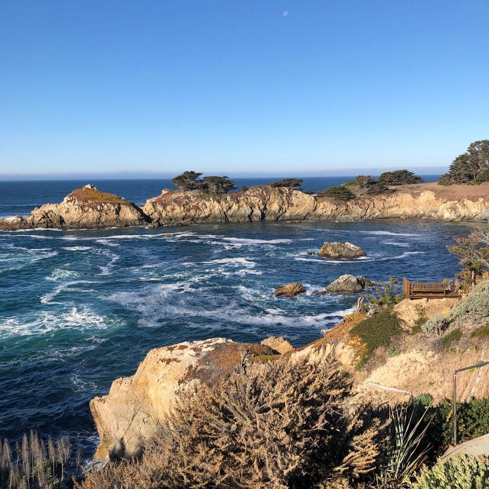 Meet your Posher, Courtney